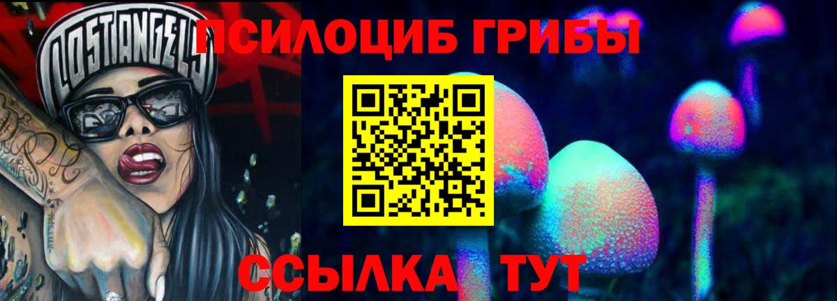 Галлюциногенные грибы Cubensis  Вход с VPN  Заинск 